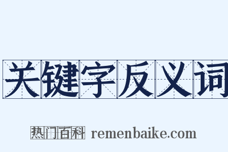 关键字反义词是什么意思的图片